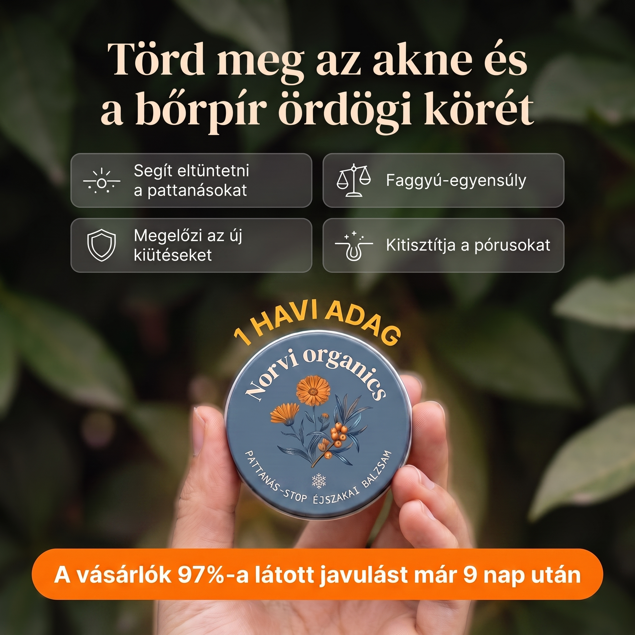 Törd meg az akne körforgását – Norvi balzsam